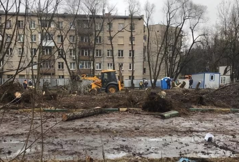Эксперты оценили целесообразность вырубки деревьев ради строительства северного дублера Кутузовского проспекта
