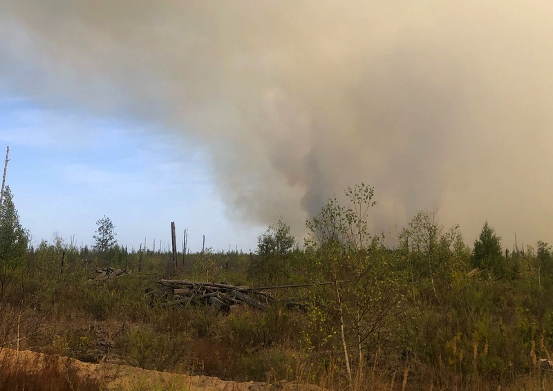 Московские дворники помогают в тушении лесных пожаров: добровольно или принудительно?