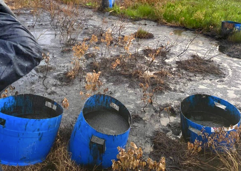 Экологи оценили ситуацию с разливом нефти в Республике Коми