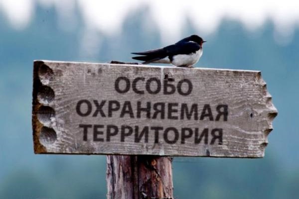 С особо охраняемых природных территорий Москвы убирают «самострой»