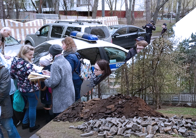 Жители Щукино рискуют лишиться соснового массива рядом с Курчатовским институтом