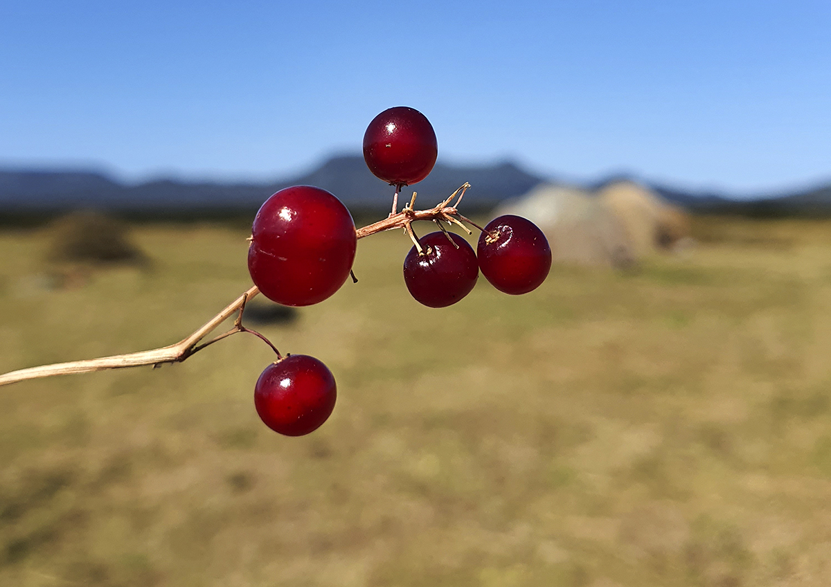 Туристический кластер на Камчатке пройдёт экологическую оценку