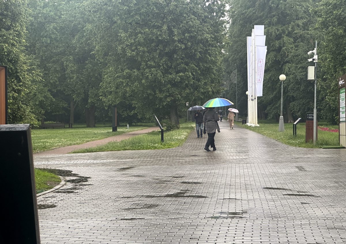 Москву накроют тропические ливни Москву накроют тропические ливни