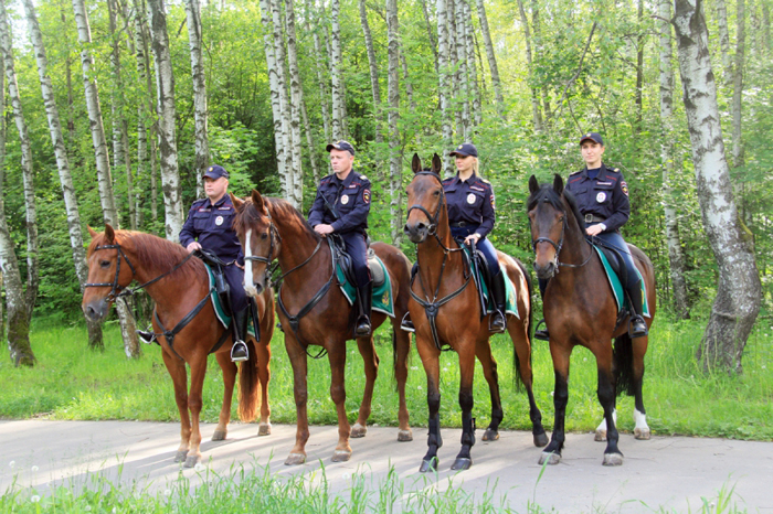 Управа Обручевского района пообещала привлечь конный патруль для соблюдения порядка в Юго-Западном лесопарке