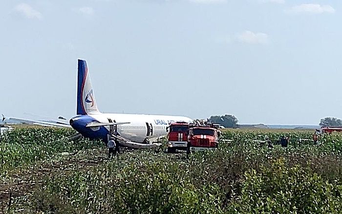 Момент жесткой посадки A321 после столкновения с птицами попал на видео