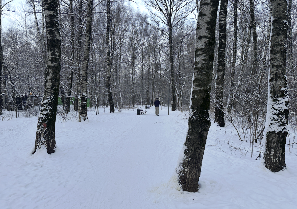 На Москву надвигаются аномальные морозы