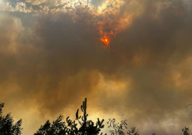 «В целом, всё жутковато»: жители Рязанской области описали ситуацию с лесными пожарами