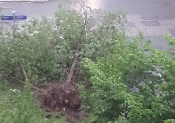Шквалистый ветер в Москве вырывает деревья и срывает крыши 