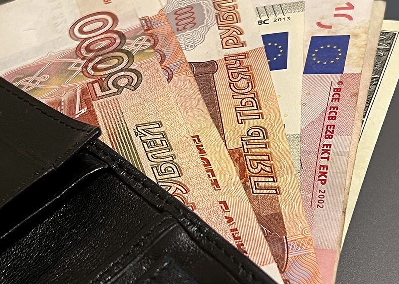 Финансовые аналитики назвали причину повышенного интереса россиян к покупке валюты