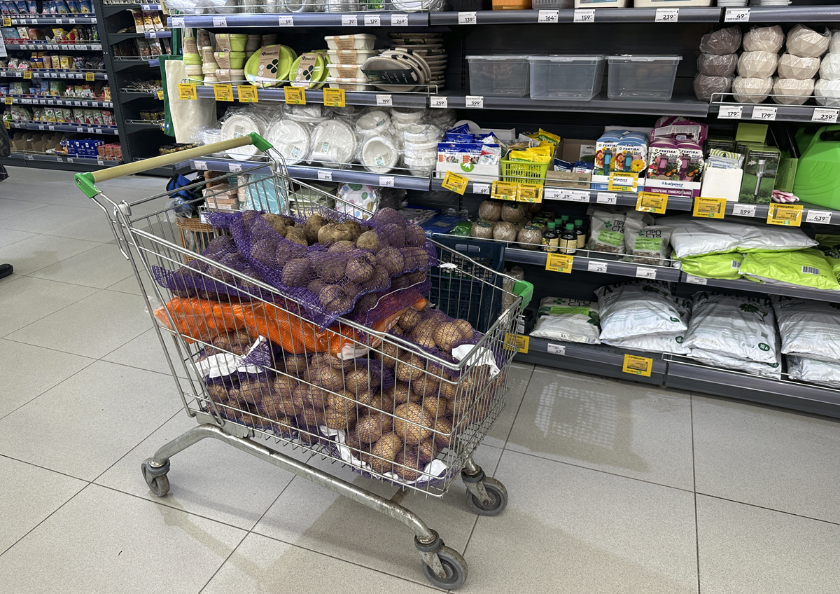 Россиянам рассказали, имеет ли смысл закупать продукты впрок ради экономии Россиянам рассказали, имеет ли смысл закупать продукты впрок ради экономии