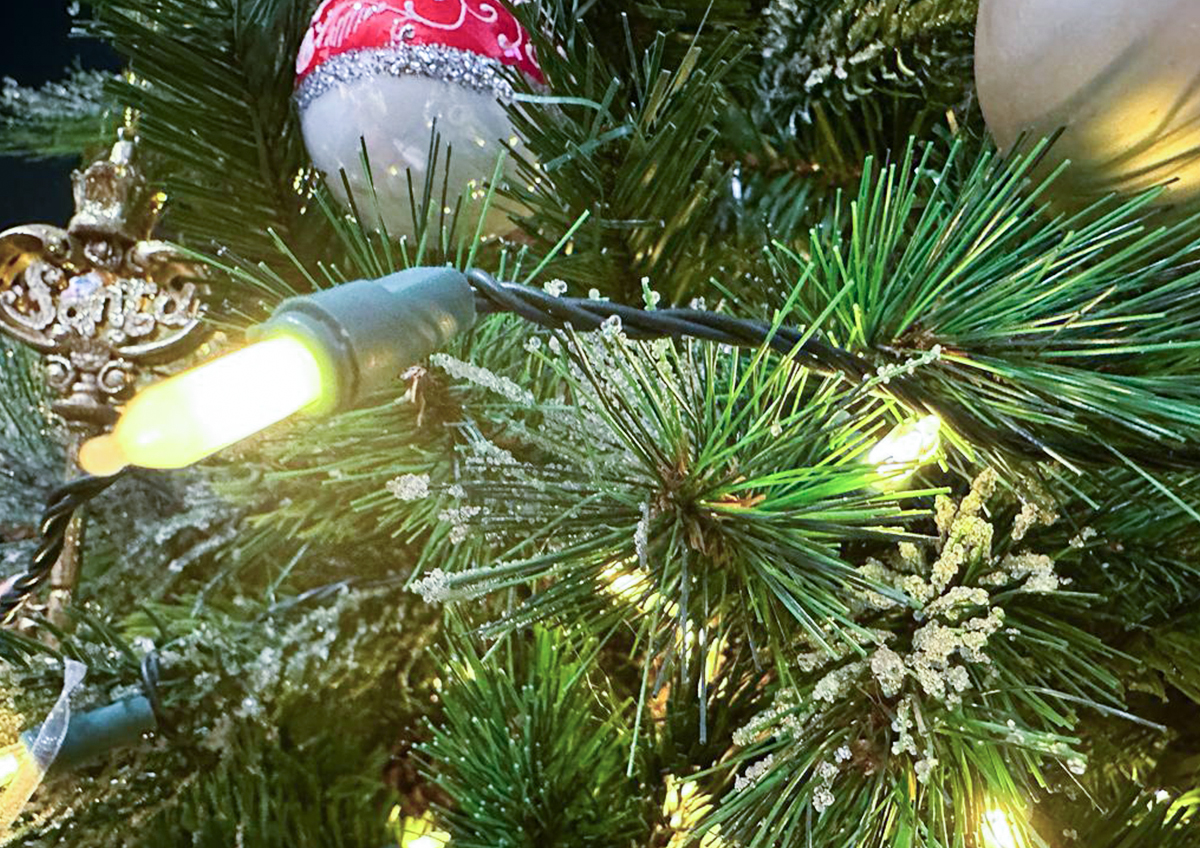 Ветврач Владимирова назвала опасные для домашних животных новогодние украшения