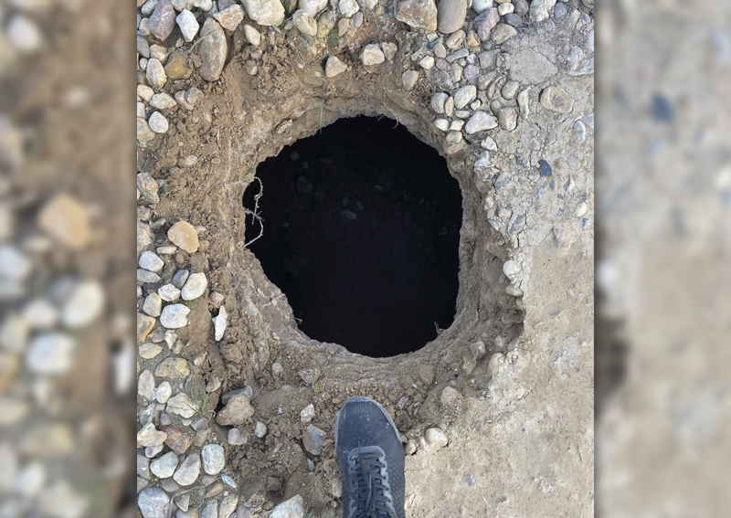 По размытой дороге и разрушенному мосту: как жители СНТ в Волоколамском ...